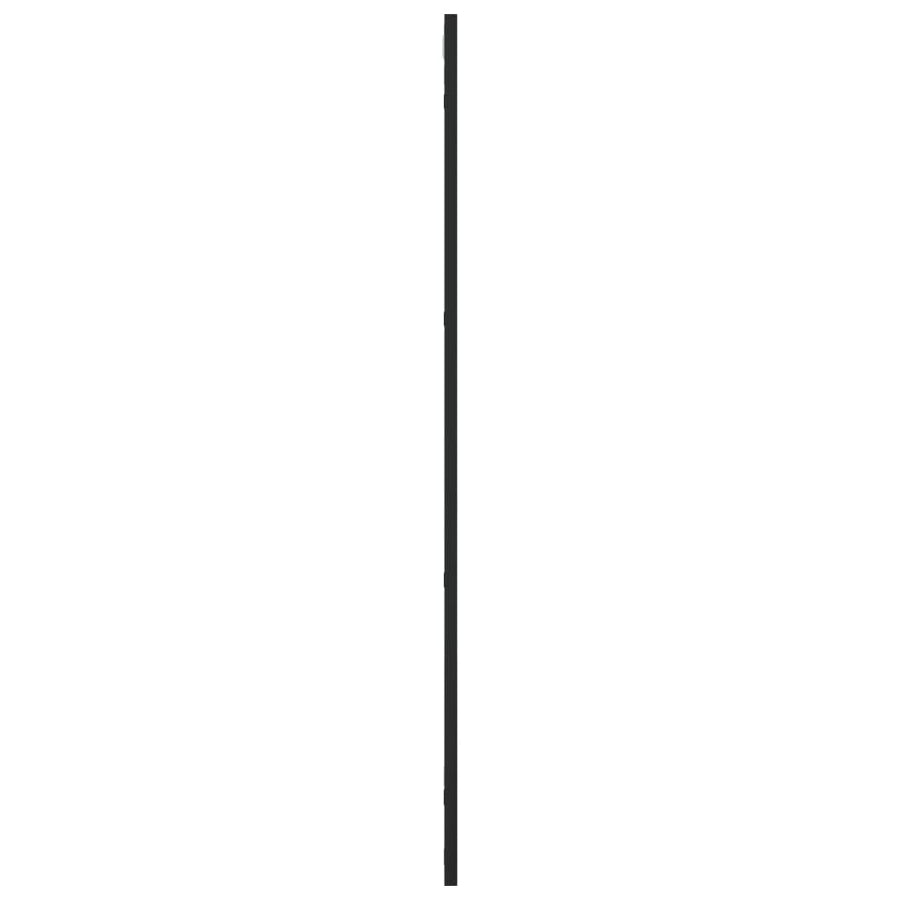 Wandspiegel Rechthoekig Ijzer Zwart 50 x 100 cm