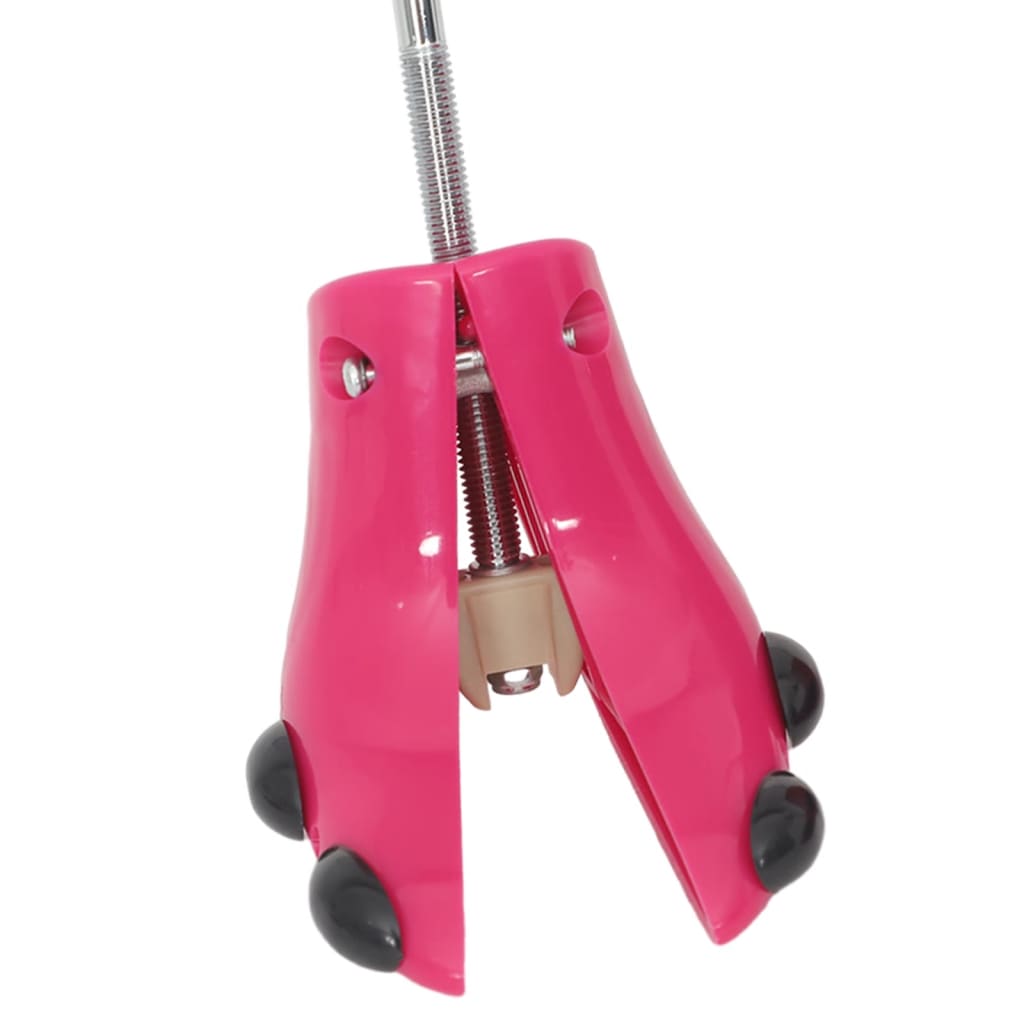 Schoenspanners Met Schoenlepel Eu 34-40 Kunststof Roze