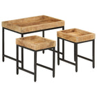3-piece Coffee Table Set Solid Rough Mango Wood and Iron