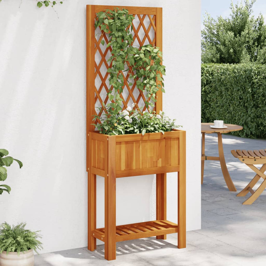 Plantenbak Met Latwerk En Schap 55X29,5X152 Cm Acaciahout 55 x 29.5 x 152 cm