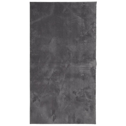 Vloerkleed Huarte Laagpolig Zacht Wasbaar Antraciet 60 x 110 cm