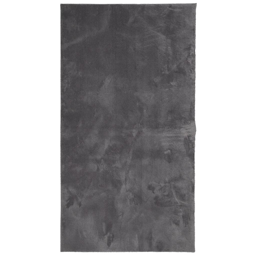 Vloerkleed Huarte Laagpolig Zacht Wasbaar Antraciet 60 x 110 cm