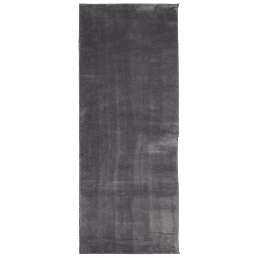 Vloerkleed Huarte Laagpolig Zacht Wasbaar Antraciet 80 x 200 cm