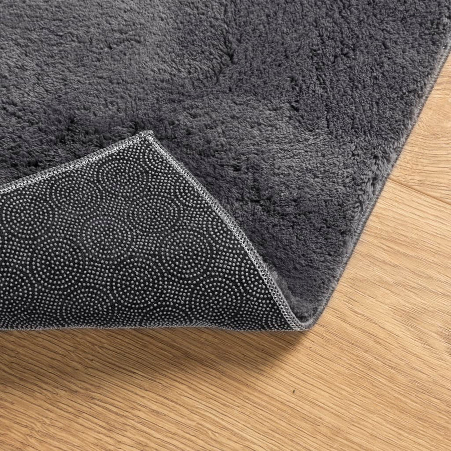 Vloerkleed Huarte Laagpolig Zacht Wasbaar Antraciet 80 x 200 cm