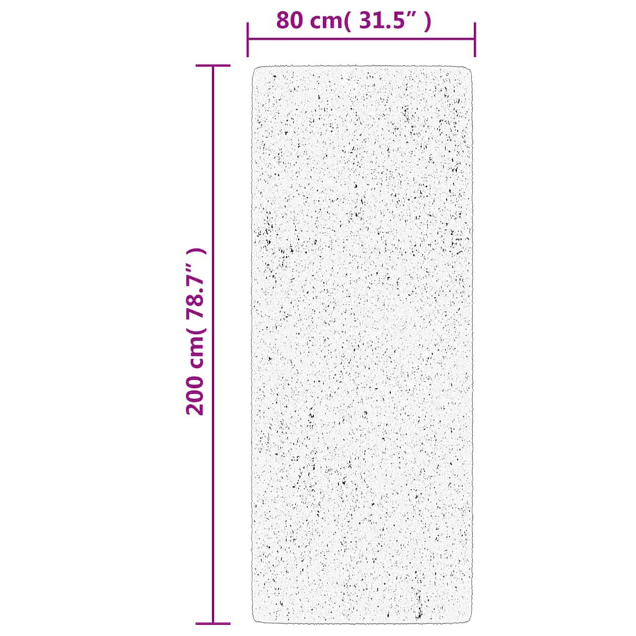 Vloerkleed Huarte Laagpolig Zacht Wasbaar Antraciet 80 x 200 cm