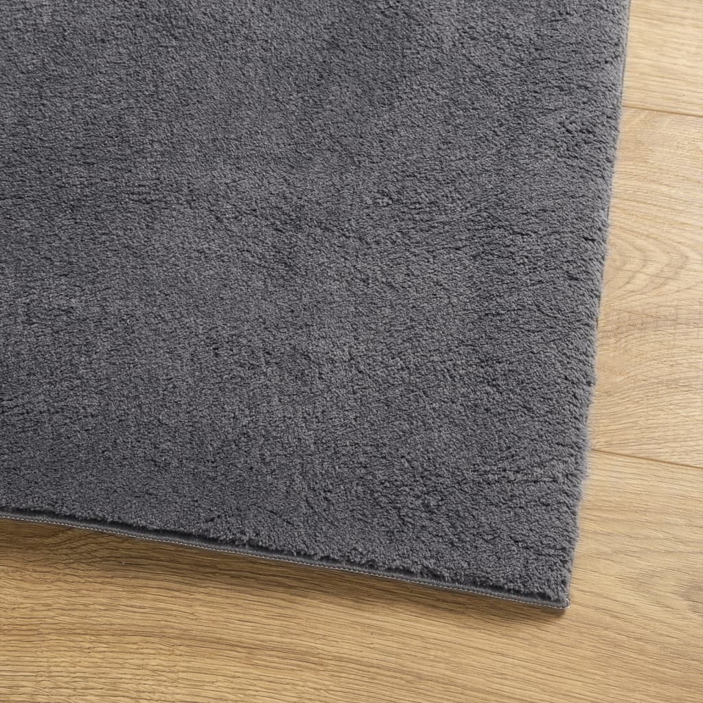 Vloerkleed Huarte Laagpolig Zacht Wasbaar Antraciet 80 x 250 cm