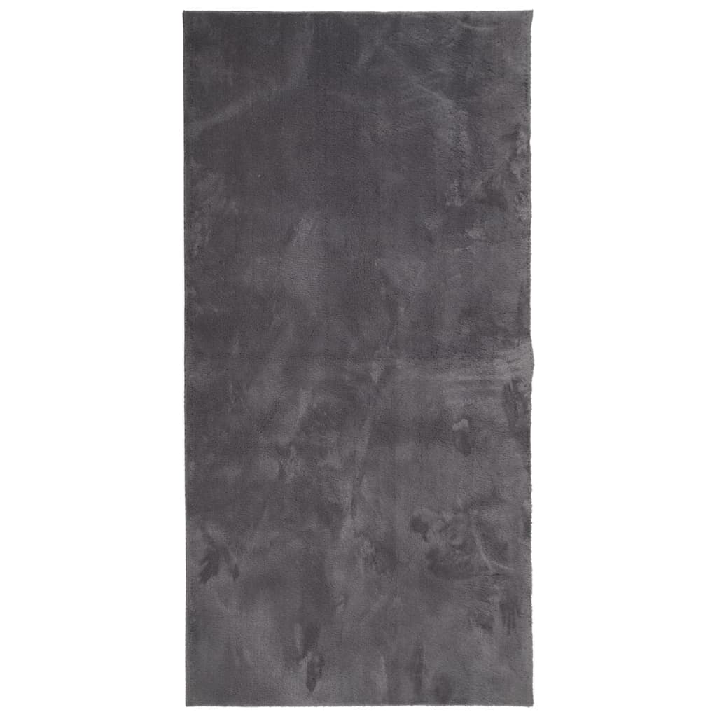 Vloerkleed Huarte Laagpolig Zacht Wasbaar Antraciet 100 x 200 cm