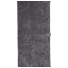 Vloerkleed Huarte Laagpolig Zacht Wasbaar Antraciet 100 x 200 cm