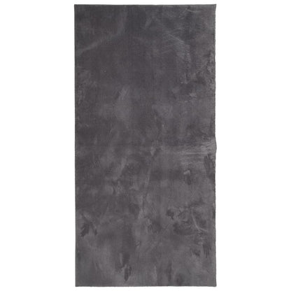 Vloerkleed Huarte Laagpolig Zacht Wasbaar Antraciet 100 x 200 cm