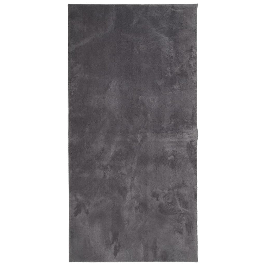 Vloerkleed Huarte Laagpolig Zacht Wasbaar Antraciet 100 x 200 cm