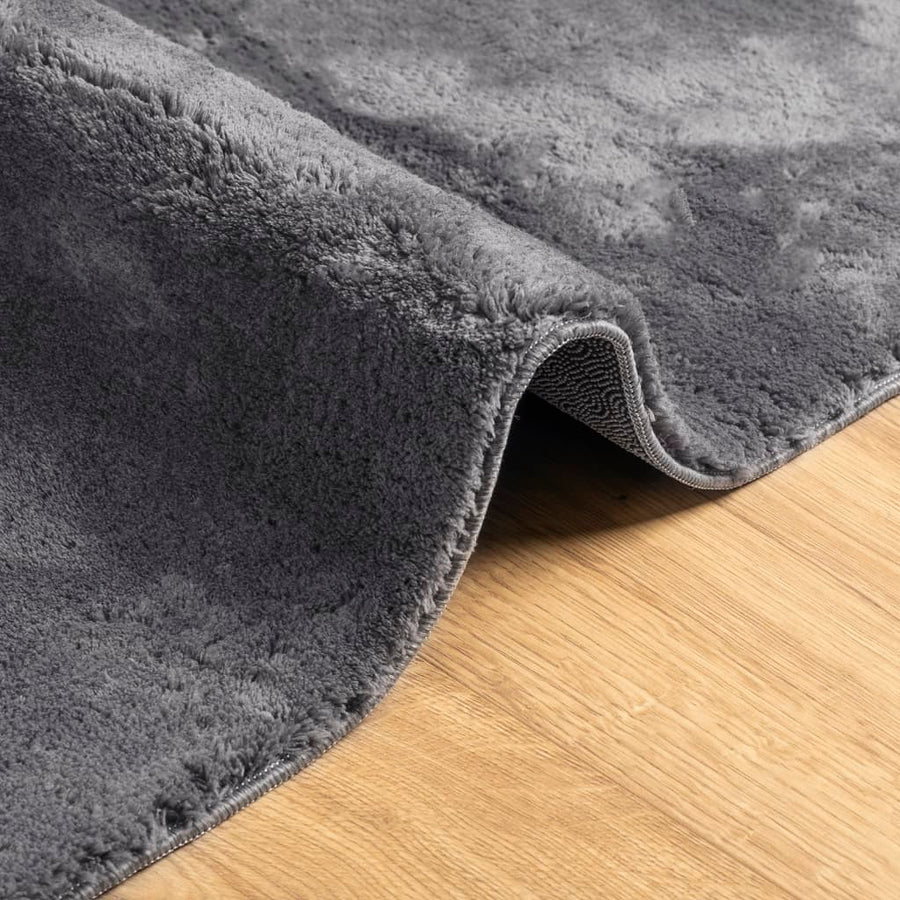 Vloerkleed Huarte Laagpolig Zacht Wasbaar Antraciet 100 x 200 cm