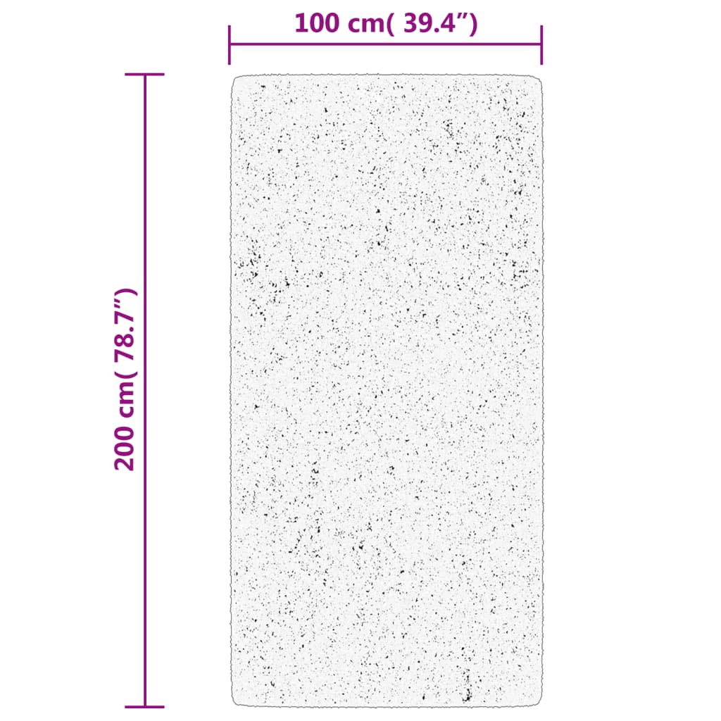 Vloerkleed Huarte Laagpolig Zacht Wasbaar Antraciet 100 x 200 cm