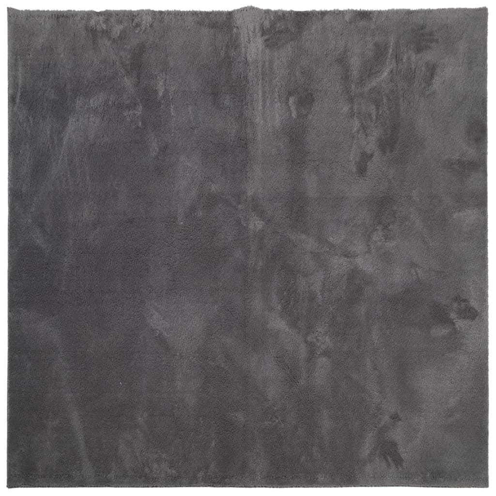 Vloerkleed Huarte Laagpolig Zacht Wasbaar Antraciet 120 x 120 cm
