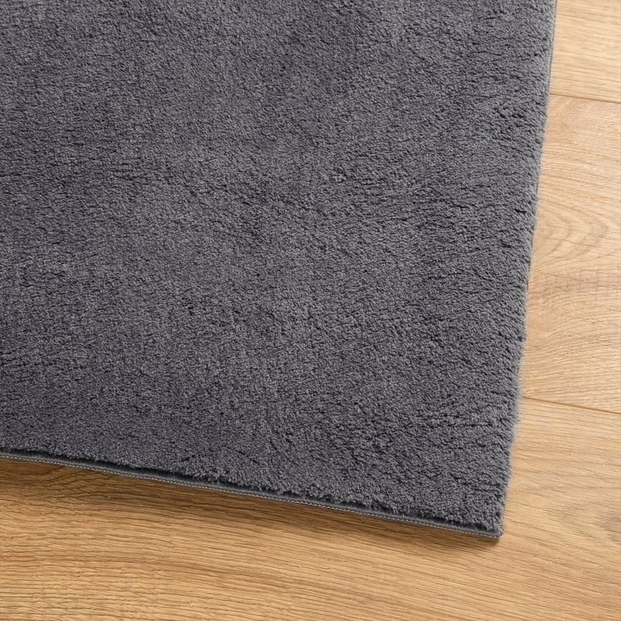 Vloerkleed Huarte Laagpolig Zacht Wasbaar Antraciet 120 x 120 cm