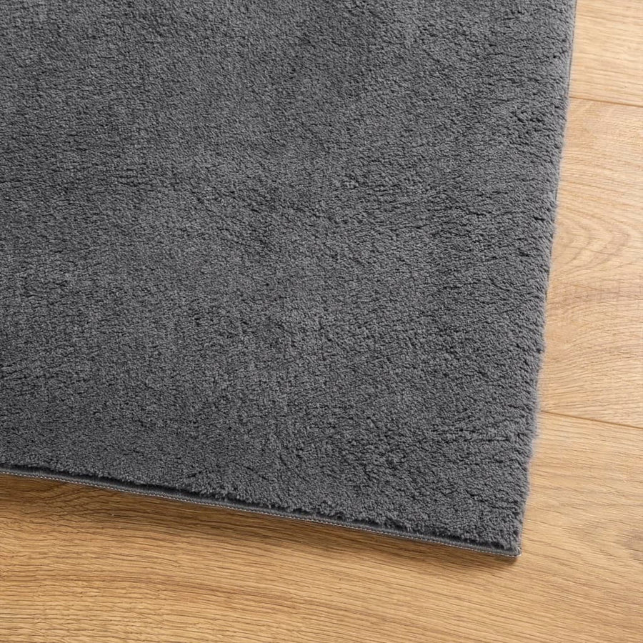 Vloerkleed Huarte Laagpolig Zacht Wasbaar Antraciet 120 x 170 cm