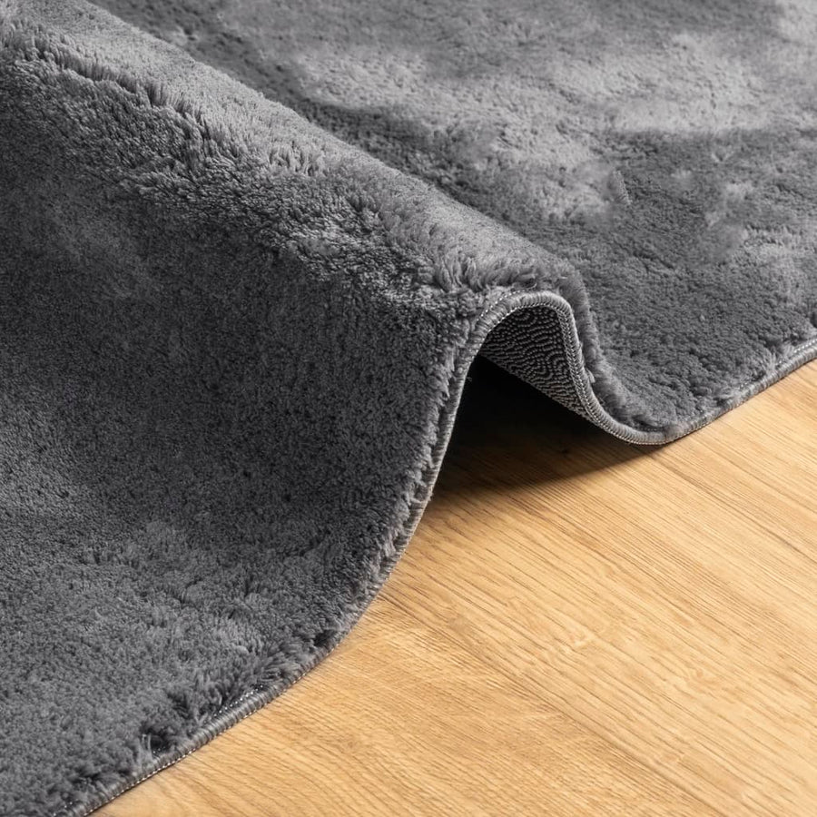 Vloerkleed Huarte Laagpolig Zacht Wasbaar Antraciet 120 x 170 cm