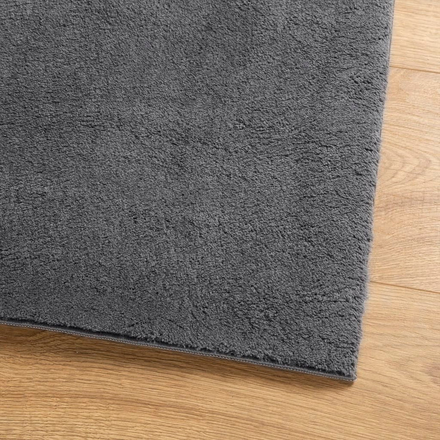Vloerkleed Huarte Laagpolig Zacht Wasbaar Antraciet 140 x 200 cm