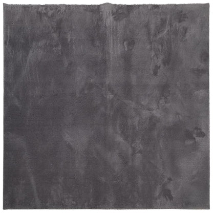 Vloerkleed Huarte Laagpolig Zacht Wasbaar Antraciet 160 x 160 cm