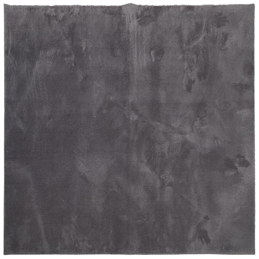 Vloerkleed Huarte Laagpolig Zacht Wasbaar Antraciet 160 x 160 cm
