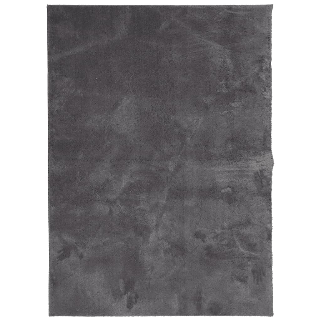 Vloerkleed Huarte Laagpolig Zacht Wasbaar Antraciet 160 x 230 cm