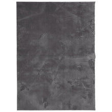 Vloerkleed Huarte Laagpolig Zacht Wasbaar Antraciet 160 x 230 cm