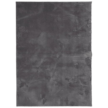 Vloerkleed Huarte Laagpolig Zacht Wasbaar Antraciet 160 x 230 cm