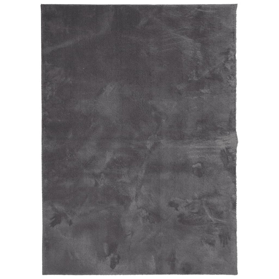 Vloerkleed Huarte Laagpolig Zacht Wasbaar Antraciet 160 x 230 cm
