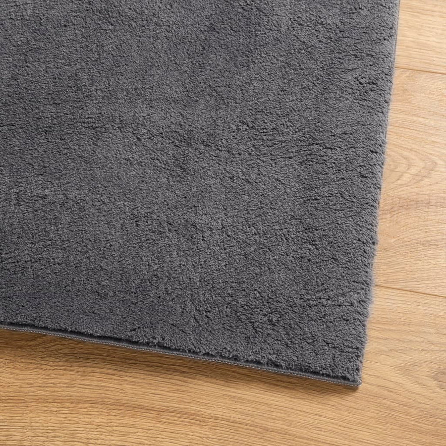 Vloerkleed Huarte Laagpolig Zacht Wasbaar Antraciet 160 x 230 cm