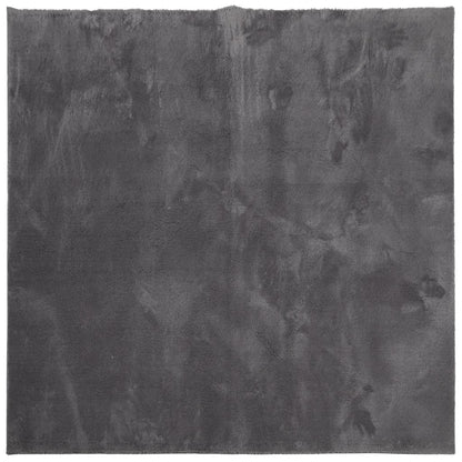 Vloerkleed Huarte Laagpolig Zacht Wasbaar Antraciet 200 x 200 cm