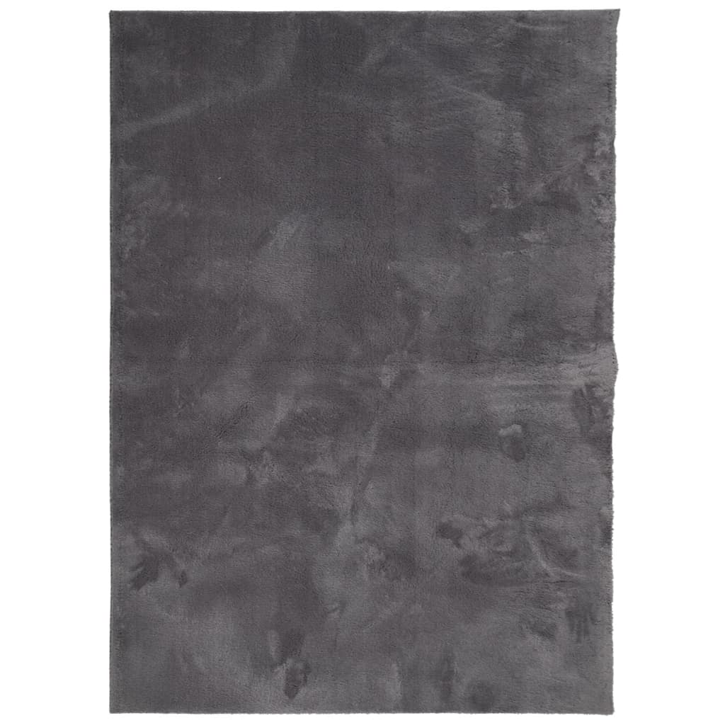Vloerkleed Huarte Laagpolig Zacht Wasbaar Antraciet 200 x 280 cm