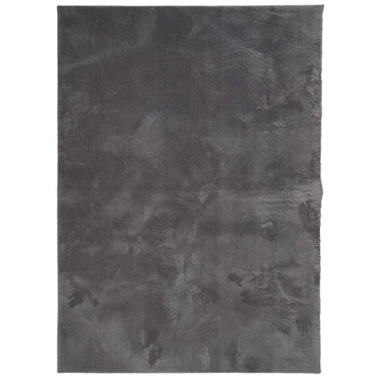 Vloerkleed Huarte Laagpolig Zacht Wasbaar Antraciet 200 x 280 cm