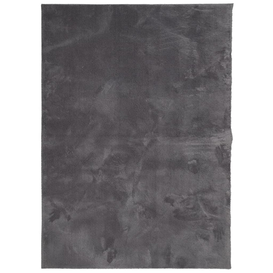Vloerkleed Huarte Laagpolig Zacht Wasbaar Antraciet 200 x 280 cm