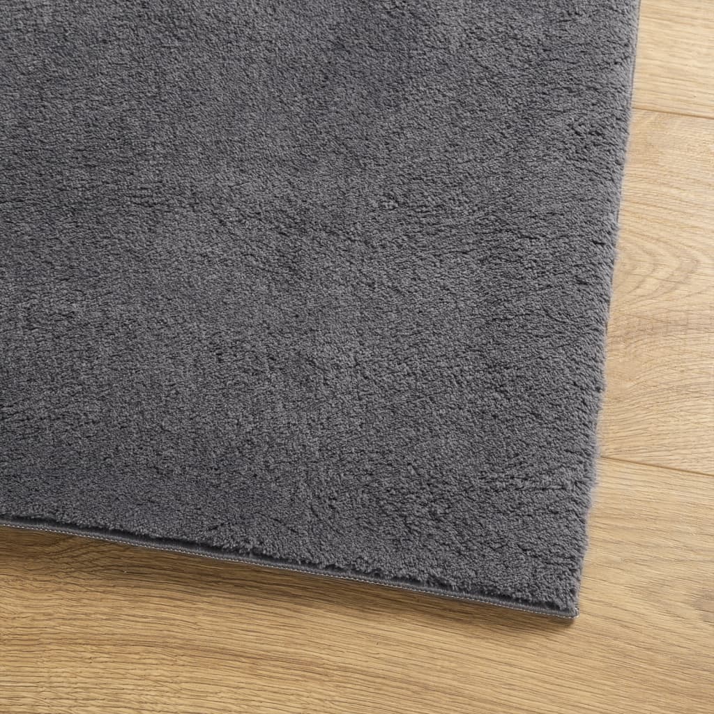 Vloerkleed Huarte Laagpolig Zacht Wasbaar Antraciet 200 x 280 cm