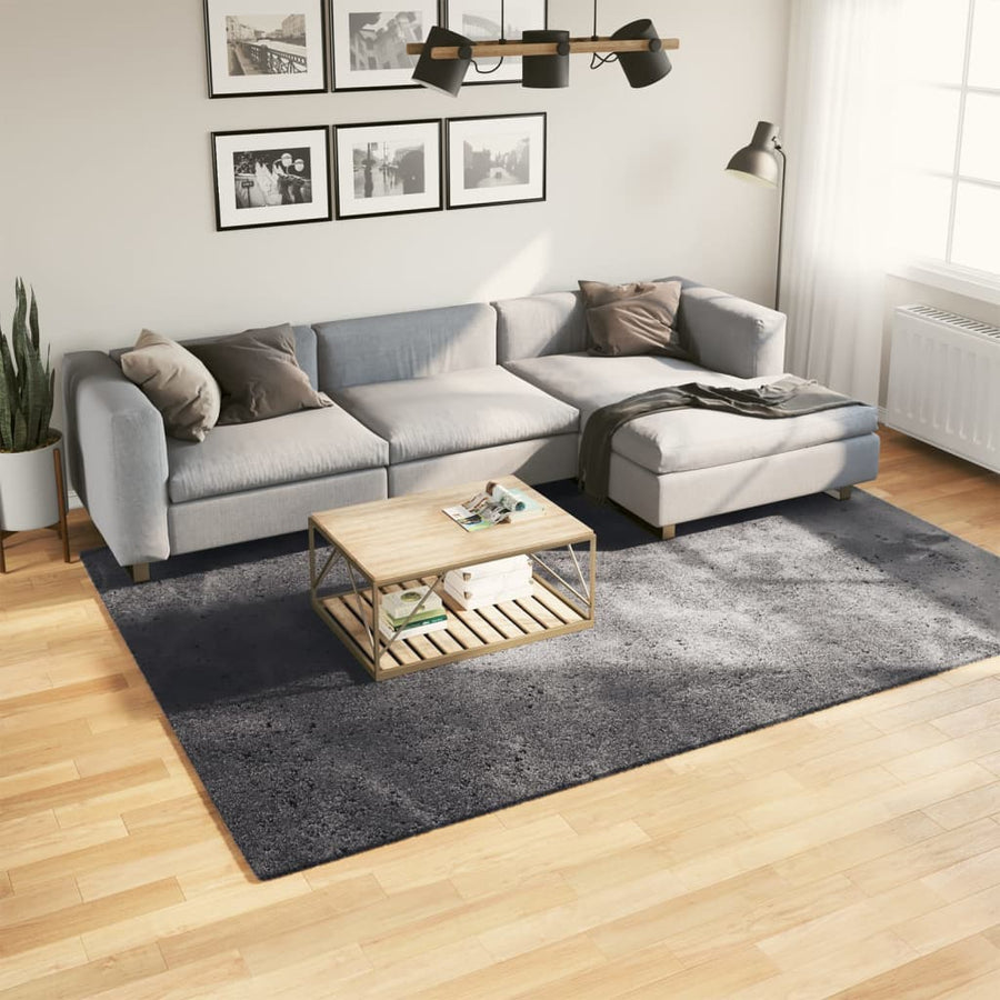Vloerkleed Huarte Laagpolig Zacht Wasbaar Antraciet 200 x 280 cm