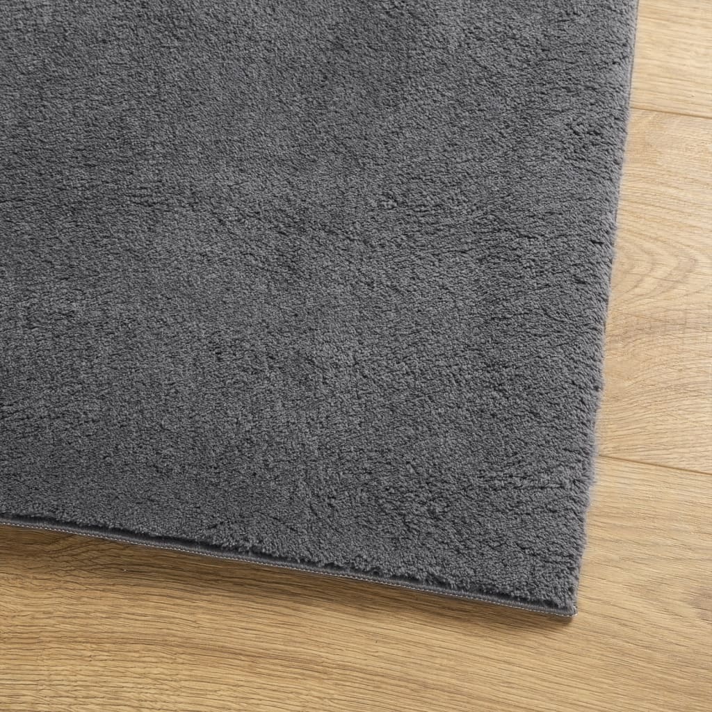 Vloerkleed Huarte Laagpolig Zacht Wasbaar Antraciet 240 x 340 cm