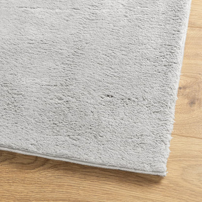 Vloerkleed Huarte Laagpolig Zacht Wasbaar Grijs 60 x 110 cm