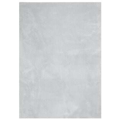 Vloerkleed Huarte Laagpolig Zacht Wasbaar Grijs 240 x 340 cm