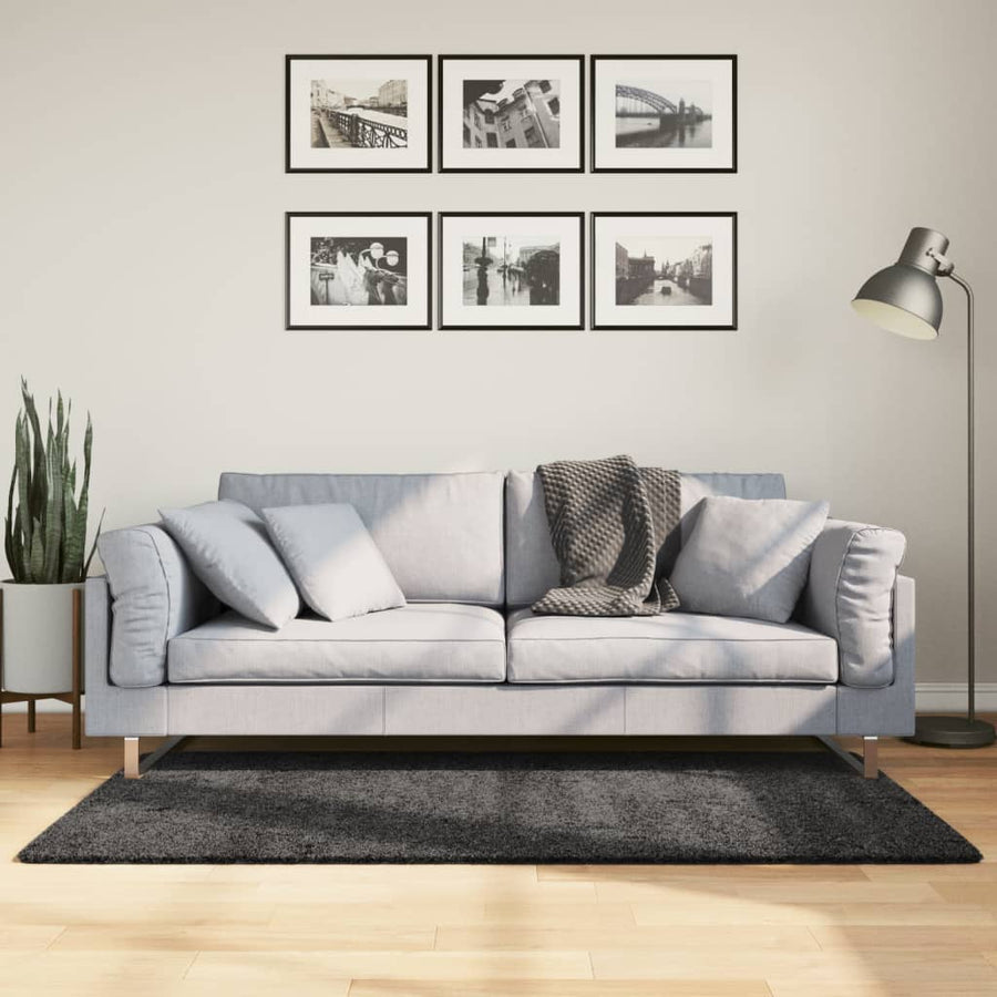 Vloerkleed PAMPLONA shaggy hoogpolig 120x170 cm antraciet