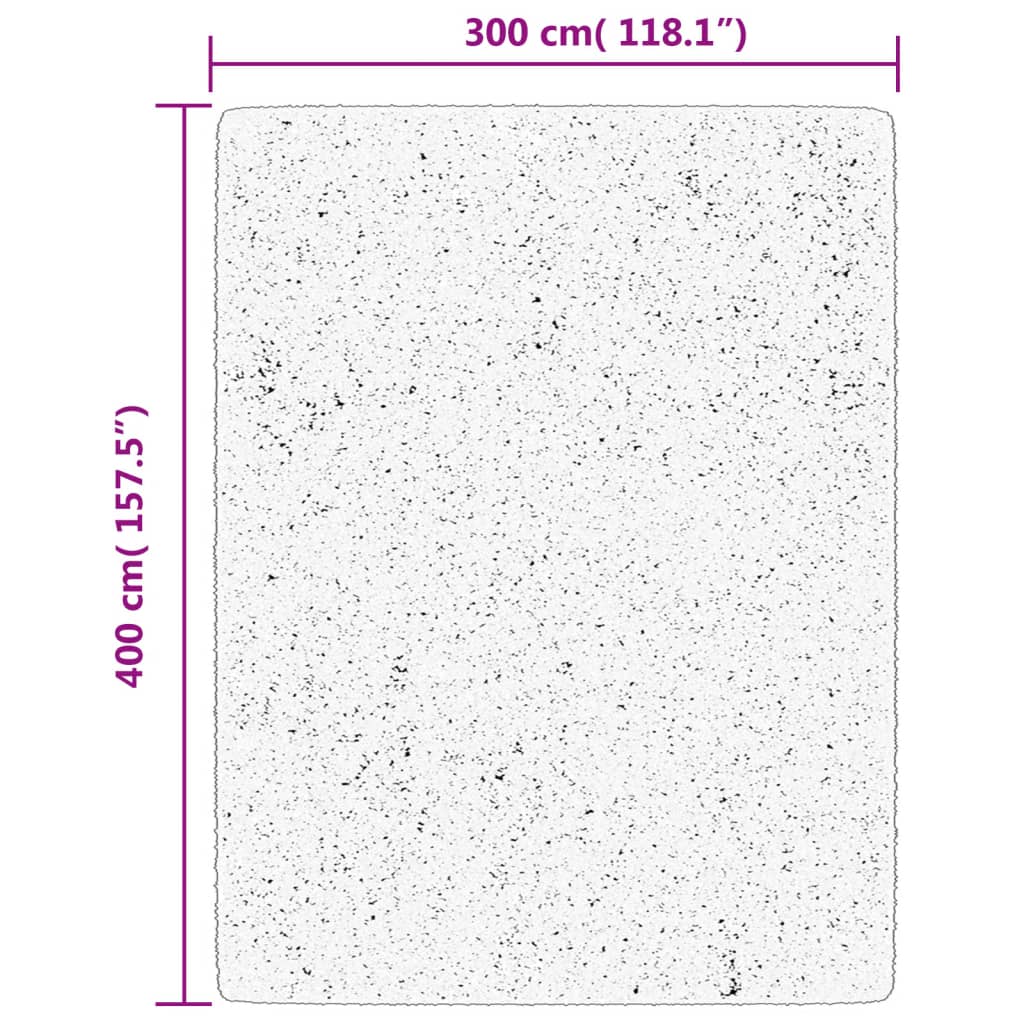 Vloerkleed Shaggy Hoogpolig Modern 300X400 Cm Antraciet