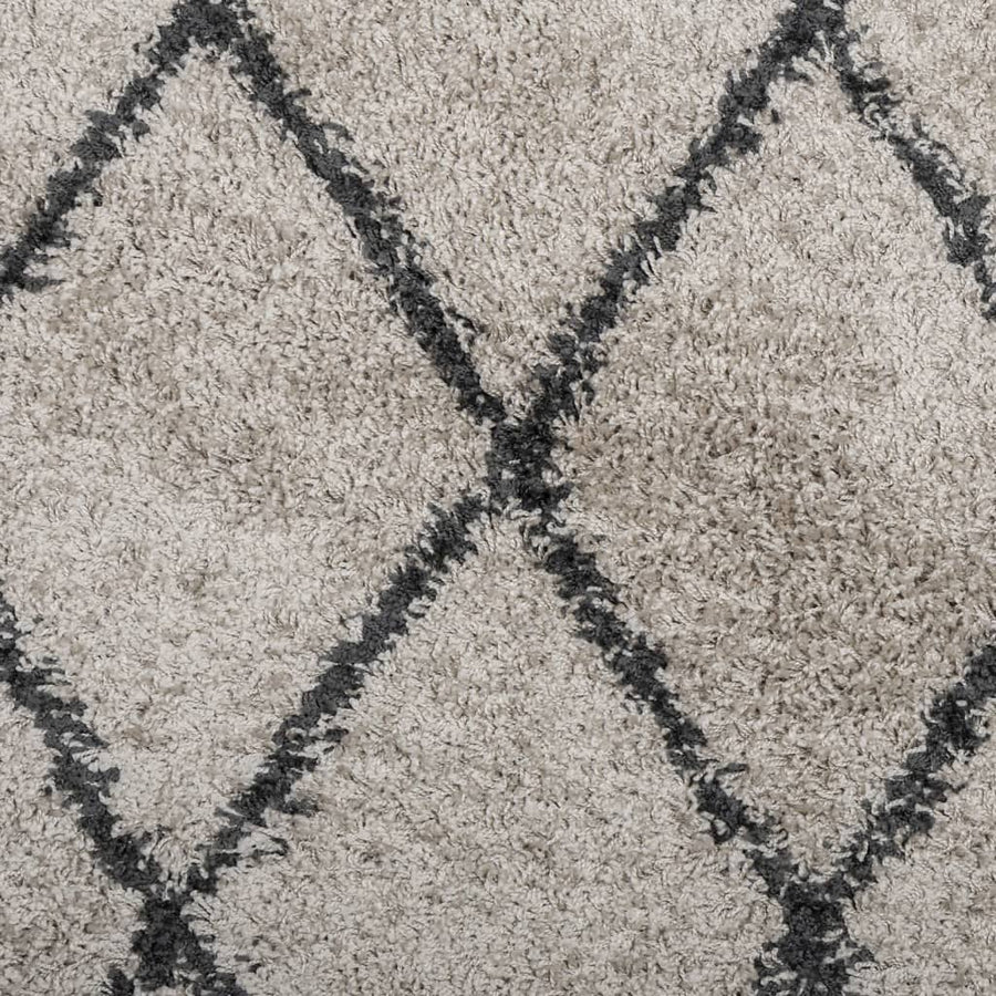 Vloerkleed shaggy hoogpolig modern Ø 100 cm ? 100 cm