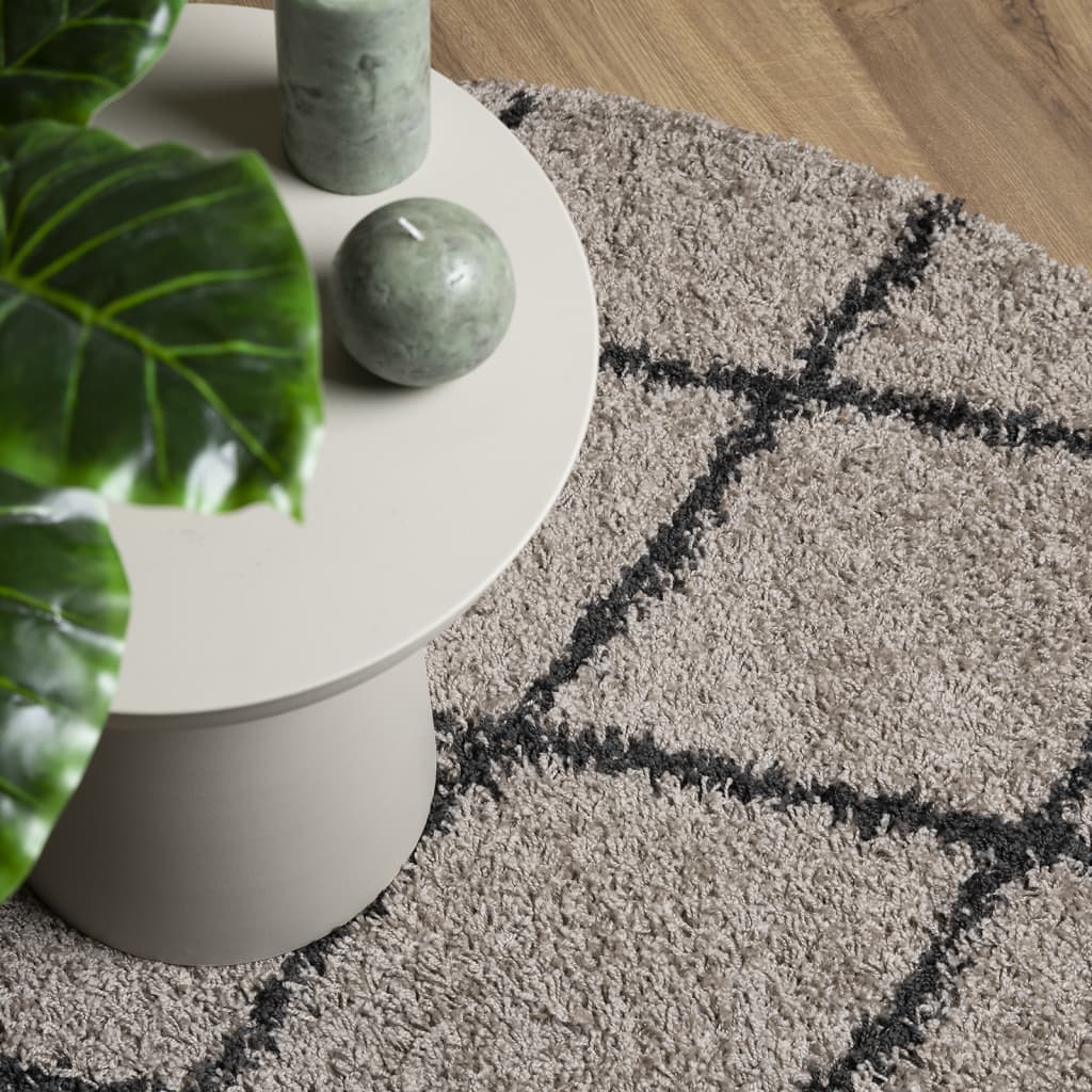 Vloerkleed Pamplona Shaggy Hoogpolig Ø 120 Cm Beige Antraciet