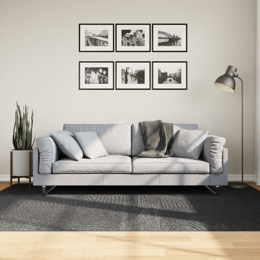Vloerkleed Iza Laagpolig Scandinavisch 160 x 230 cm Antraciet