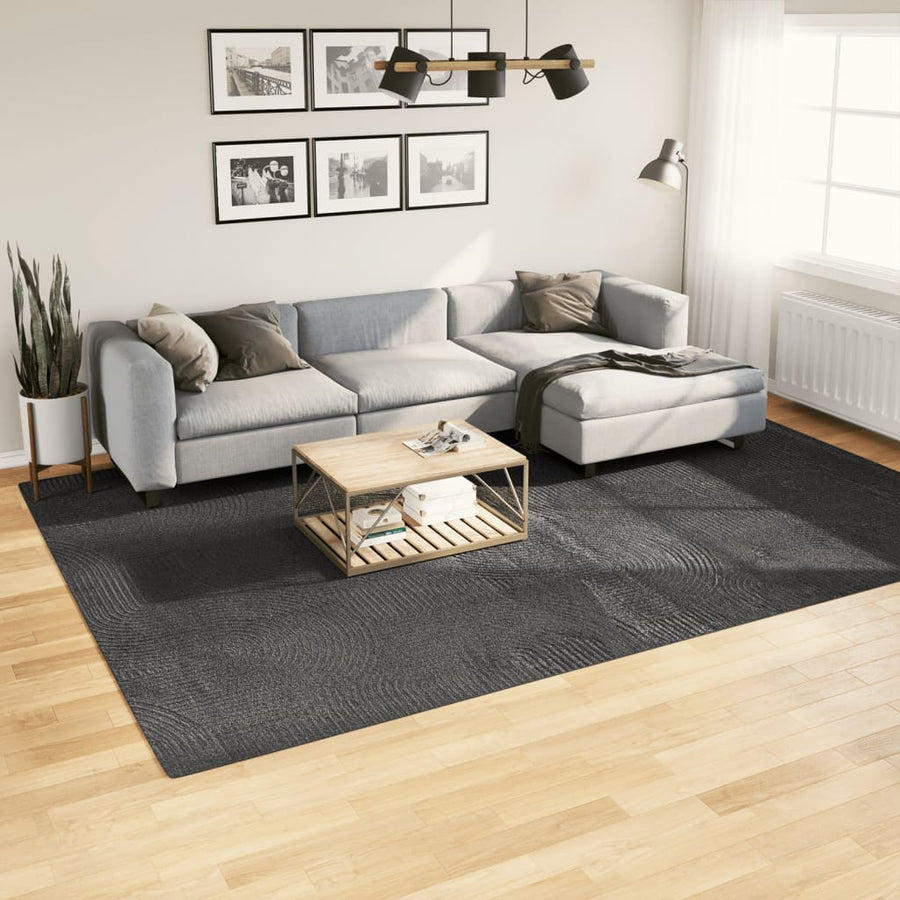 Vloerkleed Iza Laagpolig Scandinavisch 240 x 340 cm Antraciet
