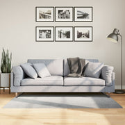 Vloerkleed 80x150 cm grijs laagpolig