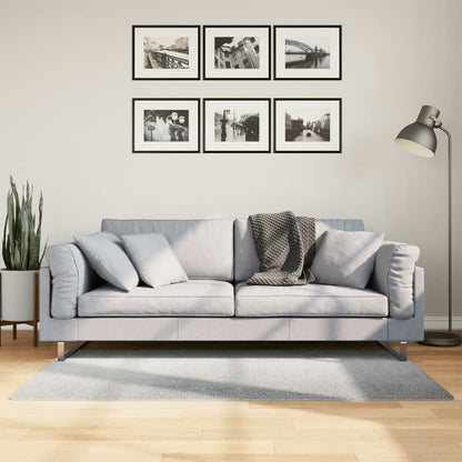 Vloerkleed Iza Laagpolig Scandinavisch 80X150 Cm Grijs