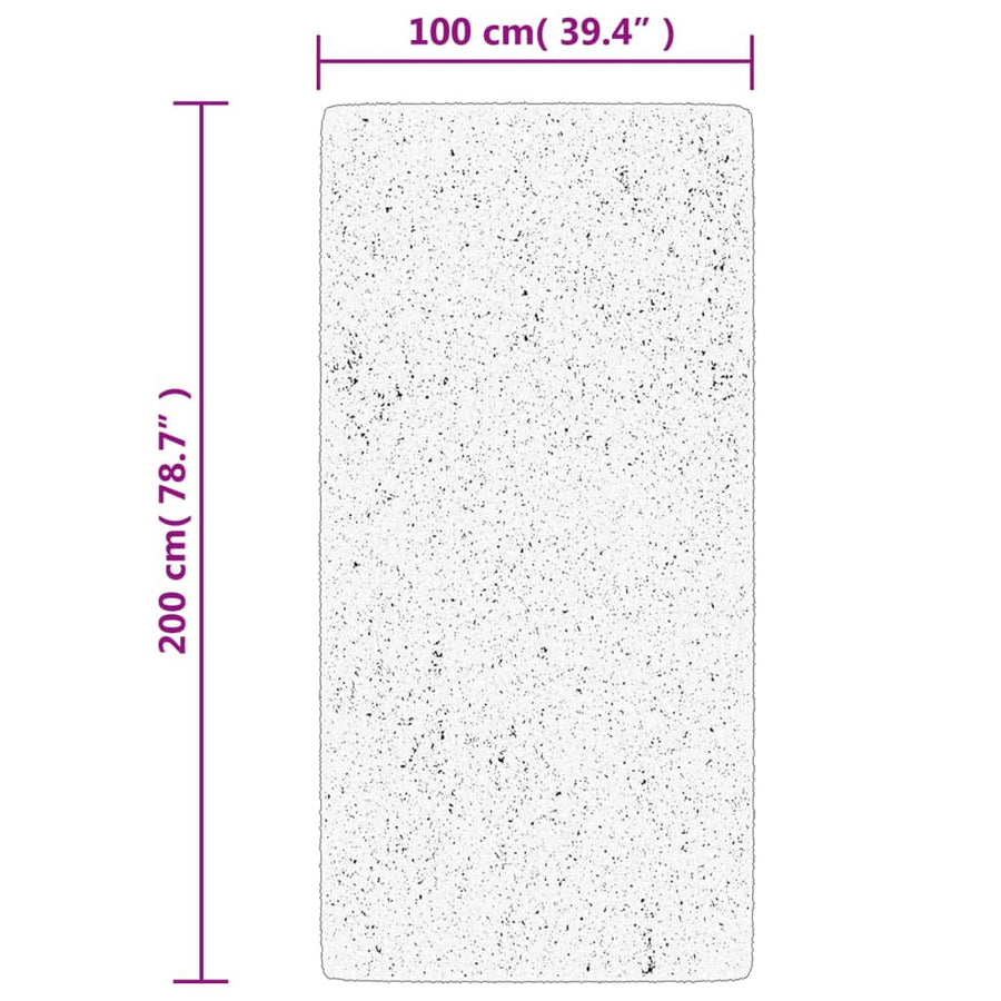 Vloerkleed Iza Laagpolig Scandinavisch 100 x 200 cm
