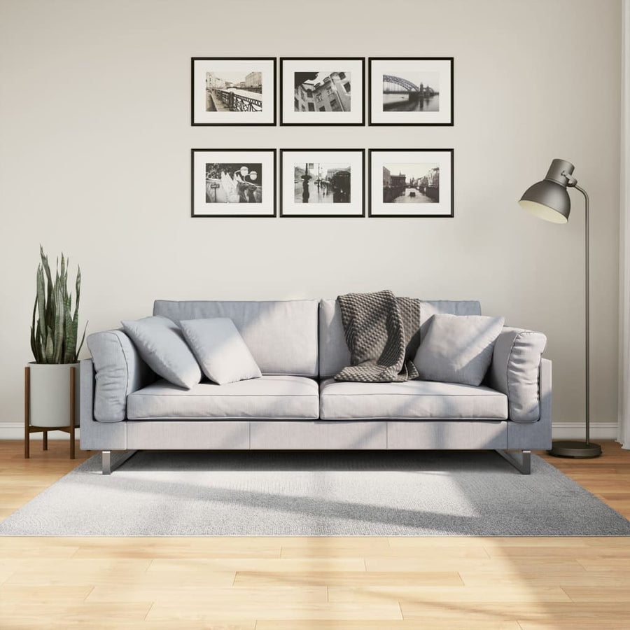 Vloerkleed Iza Laagpolig Scandinavisch 120X170 Cm Grijs