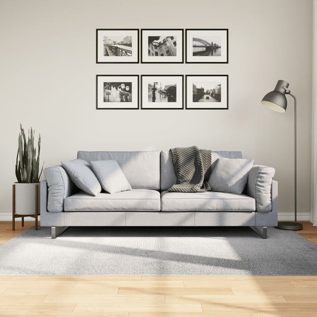 Vloerkleed Iza Laagpolig Scandinavisch 140 x 200 cm Grijs