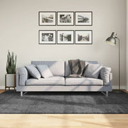 Vloerkleed 160x230 cm antraciet laagpolig