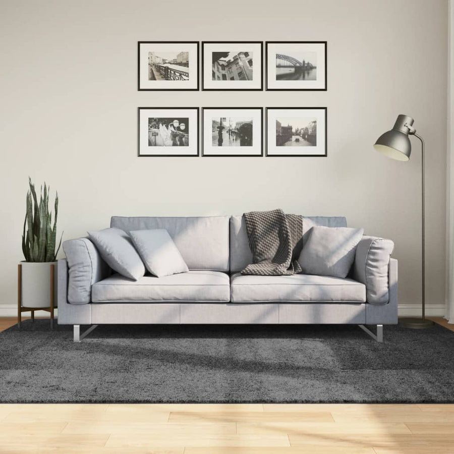 Vloerkleed Oviedo Laagpolig 160X230 Cm Antracietkleurig Donkerbruin